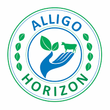 alligo horizon pvt nashik