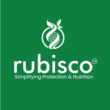 rubisco life sciences prasad patil solapur