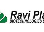 ravi plant